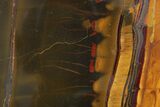 Polished Packsaddle Tiger Eye Slab - Western Australia #290939-1
